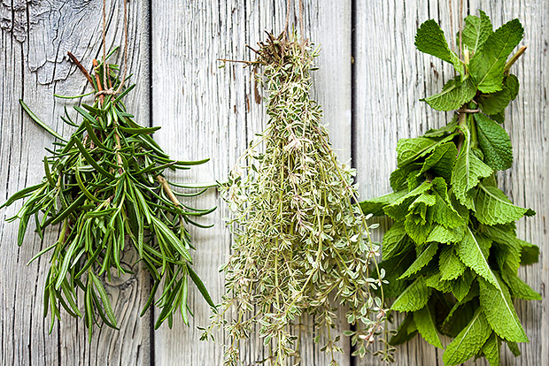 Herbs that Flavor Food and Improve Health