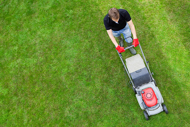 mowing lawn